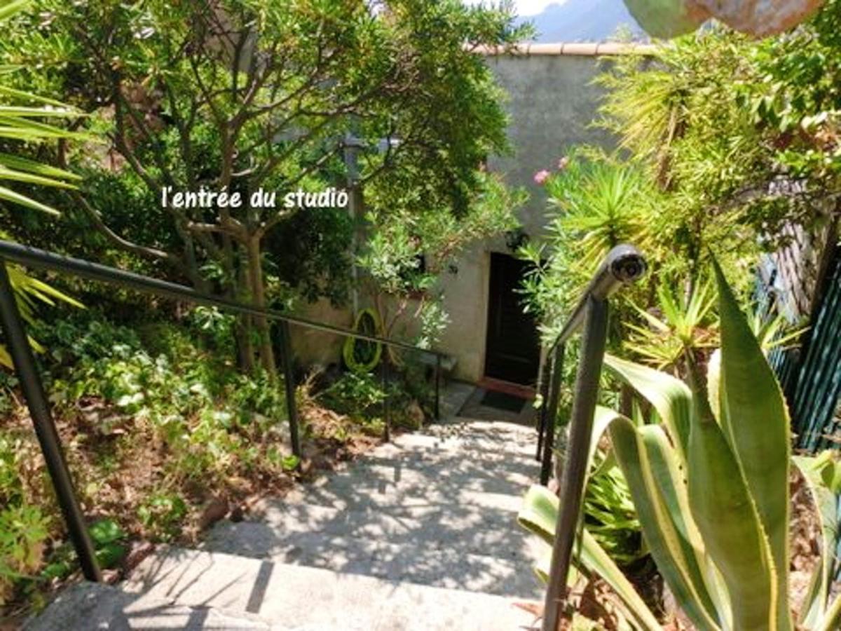 Studio A Theoule Sur Mer A 400 M De La Plage Avec Vue Sur La Mer Terrasse Amenagee Et Wifi Appartement Buitenkant foto